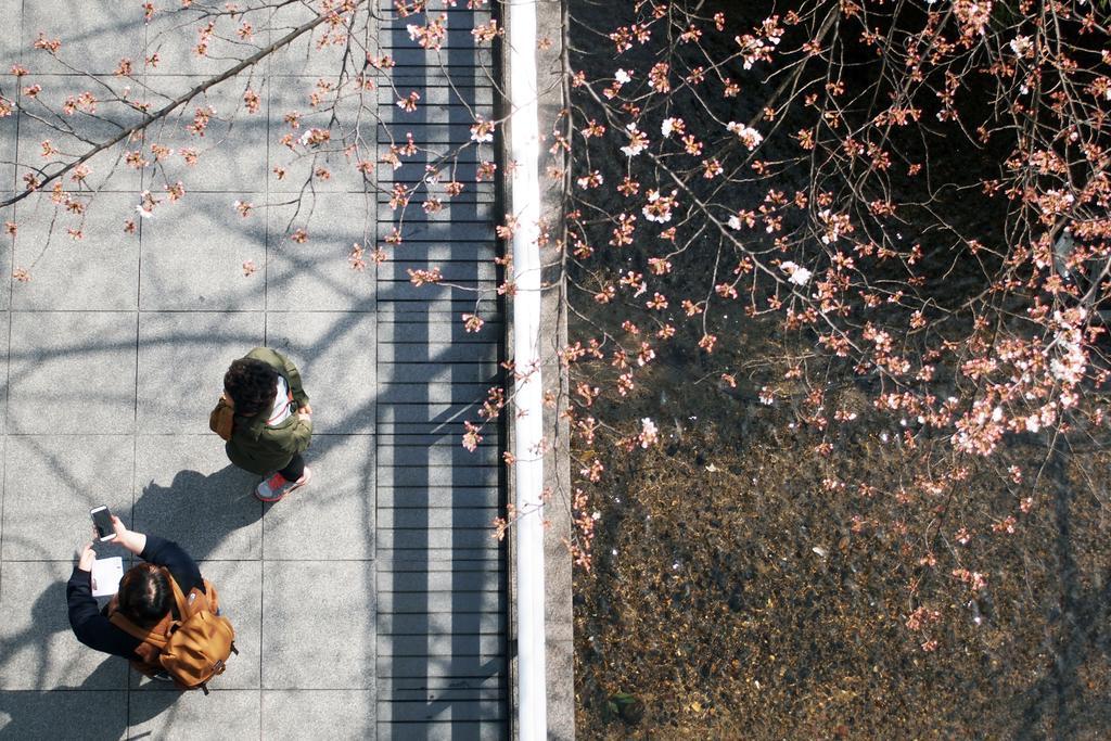 Bijuu 5* Kyoto